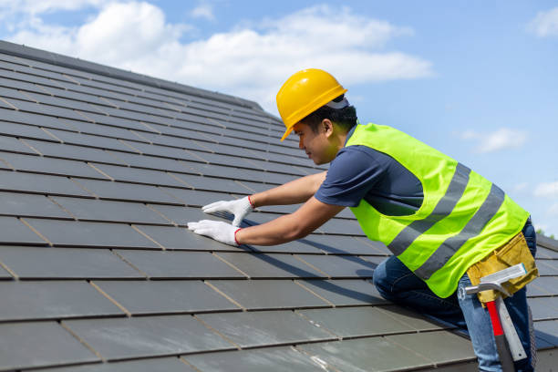 Best Roof Gutter Cleaning  in Barrackville, WV