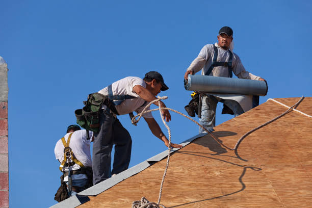 Best Flat Roof Repair Services  in Barrackville, WV
