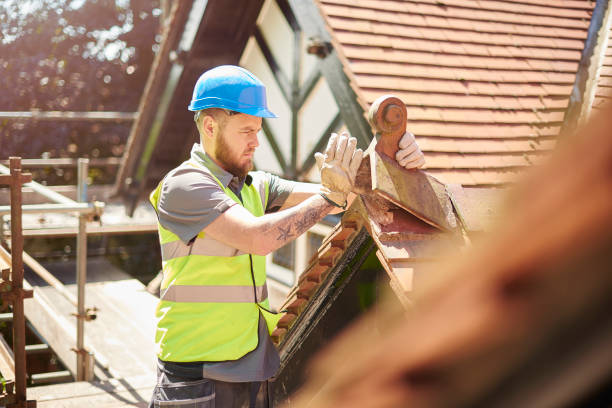 Best Roof Maintenance Services  in Barrackville, WV